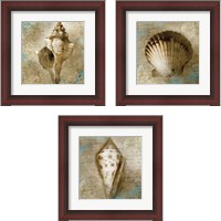 Framed Ocean Treasures 3 Piece Framed Art Print Set