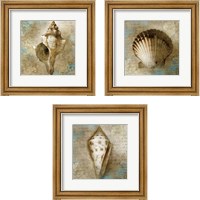 Framed 'Ocean Treasures 3 Piece Framed Art Print Set' border=