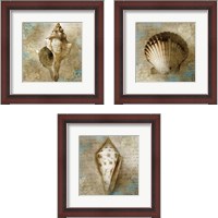 Framed 'Ocean Treasures 3 Piece Framed Art Print Set' border=