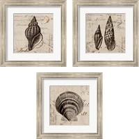 Framed Ocean Collection 3 Piece Framed Art Print Set