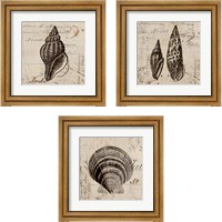 Framed 'Ocean Collection 3 Piece Framed Art Print Set' border=