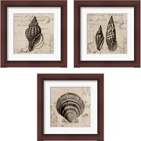 Framed 'Ocean Collection 3 Piece Framed Art Print Set' border=