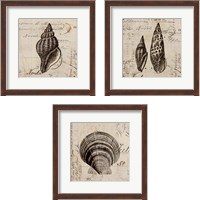 Framed Ocean Collection 3 Piece Framed Art Print Set