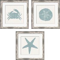 Framed 'From The Sea  3 Piece Framed Art Print Set' border=