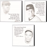 Framed Baseball Greats 3 Piece Canvas Print Set