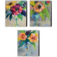 Framed Clearly Fun 3 Piece Canvas Print Set