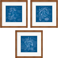Framed 'Blueprints 3 Piece Framed Art Print Set' border=