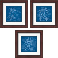 Framed Blueprints 3 Piece Framed Art Print Set