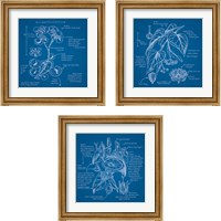 Framed 'Blueprints 3 Piece Framed Art Print Set' border=