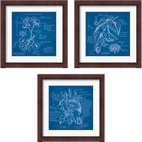 Framed 'Blueprints 3 Piece Framed Art Print Set' border=