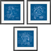 Framed Blueprints 3 Piece Framed Art Print Set