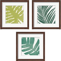 Framed 'Tropical Treasures 3 Piece Framed Art Print Set' border=