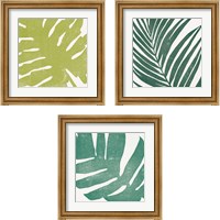Framed Tropical Treasures 3 Piece Framed Art Print Set