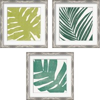 Framed 'Tropical Treasures 3 Piece Framed Art Print Set' border=