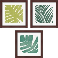 Framed Tropical Treasures 3 Piece Framed Art Print Set