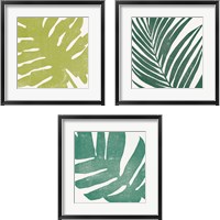 Framed 'Tropical Treasures 3 Piece Framed Art Print Set' border=