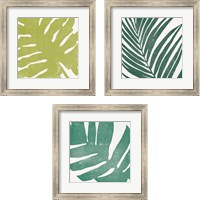 Framed 'Tropical Treasures 3 Piece Framed Art Print Set' border=