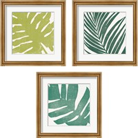 Framed 'Tropical Treasures 3 Piece Framed Art Print Set' border=