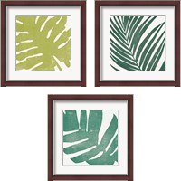 Framed 'Tropical Treasures 3 Piece Framed Art Print Set' border=