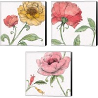 Framed Blossom Sketches Color 3 Piece Canvas Print Set