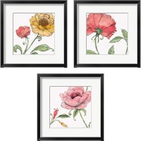 Framed Blossom Sketches Color 3 Piece Framed Art Print Set