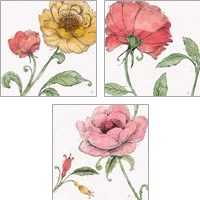 Framed Blossom Sketches Color 3 Piece Art Print Set