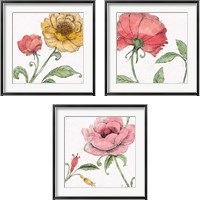 Framed Blossom Sketches Color 3 Piece Framed Art Print Set