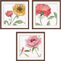 Framed 'Blossom Sketches Color 3 Piece Framed Art Print Set' border=