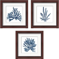 Framed 'Pacific Sea Mosses Blue on White 3 Piece Framed Art Print Set' border=