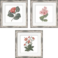 Framed 'Monument Etching Tile Flowers 3 Piece Framed Art Print Set' border=