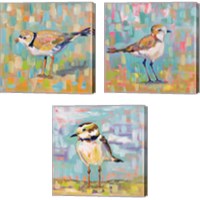 Framed 'Coastal Plover 3 Piece Canvas Print Set' border=