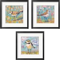 Framed 'Coastal Plover 3 Piece Framed Art Print Set' border=