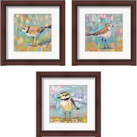 Framed 'Coastal Plover 3 Piece Framed Art Print Set' border=