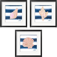 Framed 'Nautical Shell 3 Piece Framed Art Print Set' border=