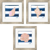 Framed Nautical Shell 3 Piece Framed Art Print Set