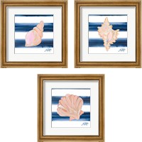 Framed Nautical Shell 3 Piece Framed Art Print Set