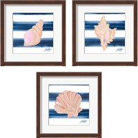 Framed 'Nautical Shell 3 Piece Framed Art Print Set' border=