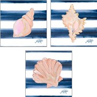 Framed 'Nautical Shell 3 Piece Art Print Set' border=