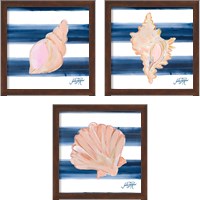 Framed 'Nautical Shell 3 Piece Framed Art Print Set' border=