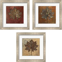 Framed Maple  3 Piece Framed Art Print Set