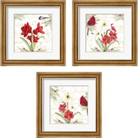 Framed Merry Amaryllis 3 Piece Framed Art Print Set