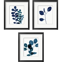 Framed 'Indigo Eucalyptus 3 Piece Framed Art Print Set' border=
