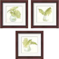 Framed 'Plant Big Leaf 3 Piece Framed Art Print Set' border=