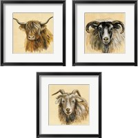 Framed Highland Animal 3 Piece Framed Art Print Set