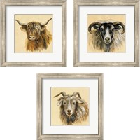 Framed 'Highland Animal 3 Piece Framed Art Print Set' border=
