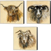 Framed Highland Animal 3 Piece Canvas Print Set