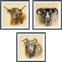 Framed 'Highland Animal 3 Piece Framed Art Print Set' border=