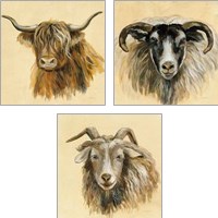 Framed Highland Animal 3 Piece Art Print Set