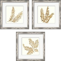 Framed 'Gilded Fern 3 Piece Framed Art Print Set' border=