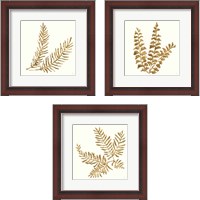 Framed Gilded Fern 3 Piece Framed Art Print Set